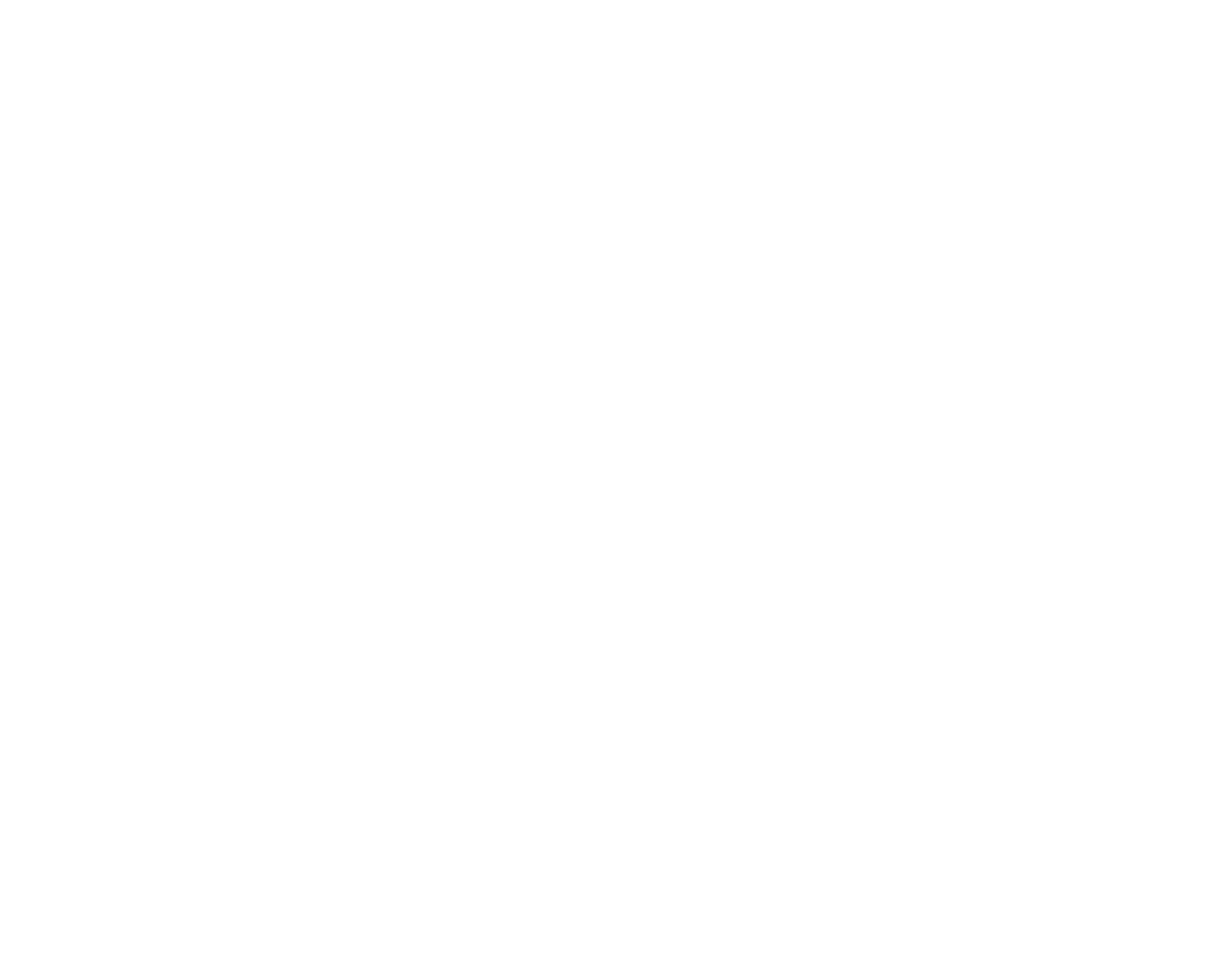 ExcelConstruction_Logo_White-01